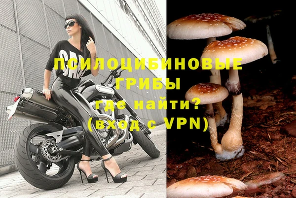 мяу мяу мука Осинники