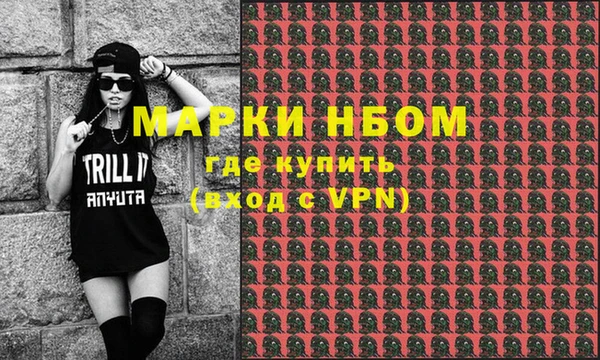 СК Пересвет