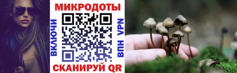 Купить где  Санкт-Петербург  Галлюциногенные грибы GOLDEN TEACHER 